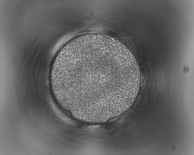 X0000112350054200909241111