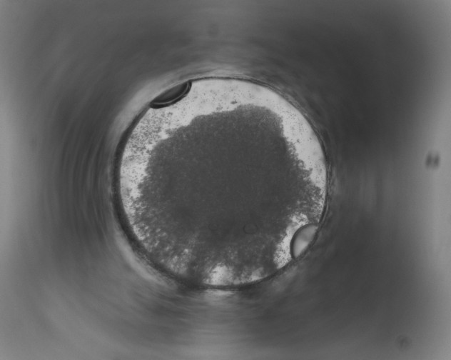 X0000112350055200909241111