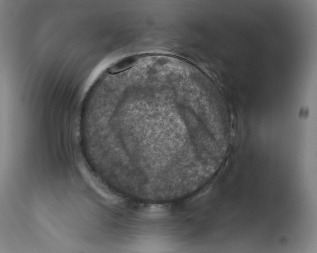 X0000112350056200909241112