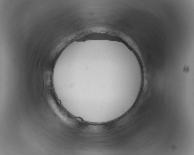 X0000112350057200909241112