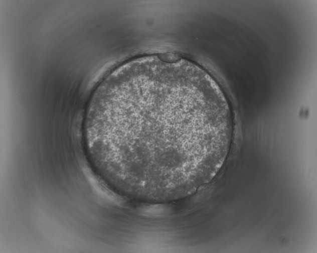 X0000112350058200909241112