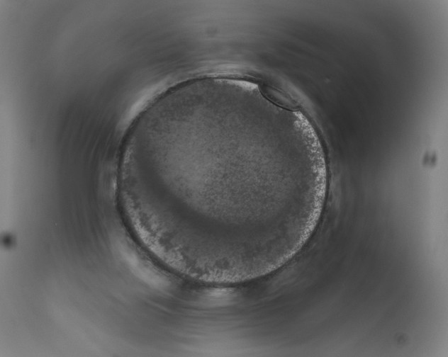 X0000112350059200909241112