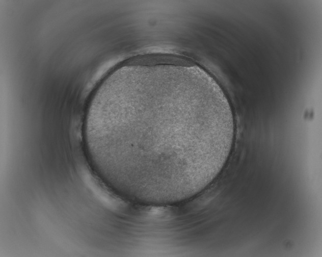 X0000112350060200909241112