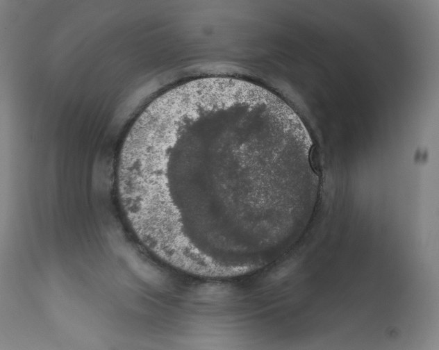 X0000112350063200909241112