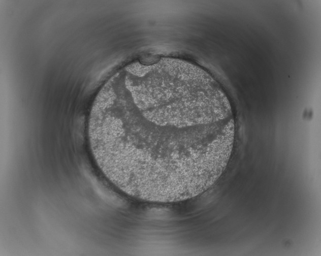 X0000112350066200909241112