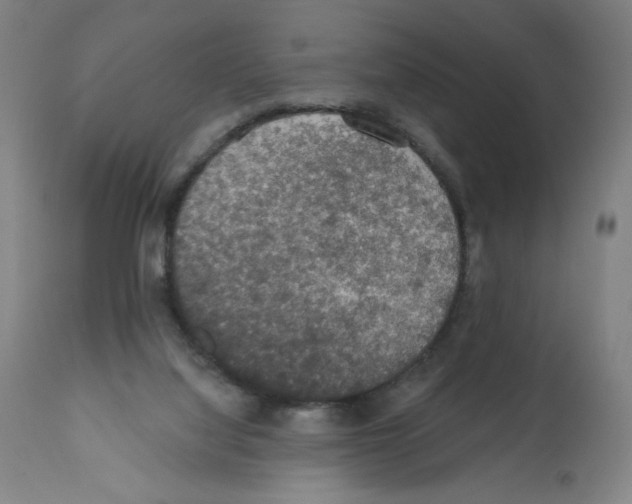 X0000112350068200909241112