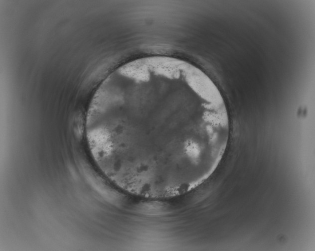 X0000112350069200909241112