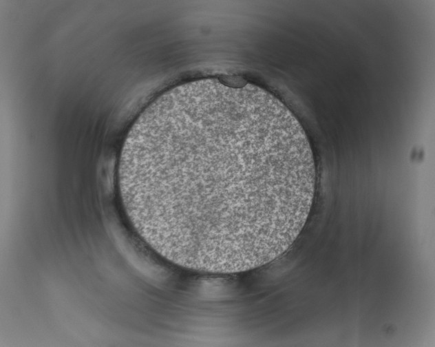 X0000112350070200909241112