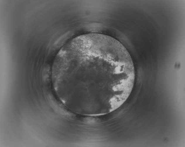 X0000112350073200909241112