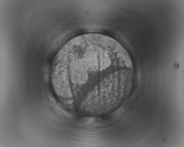 X0000112350074200909241112