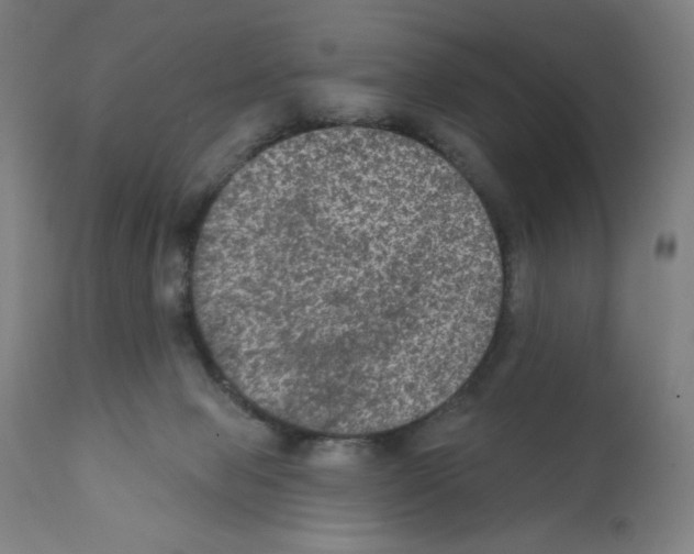 X0000112350077200909241112