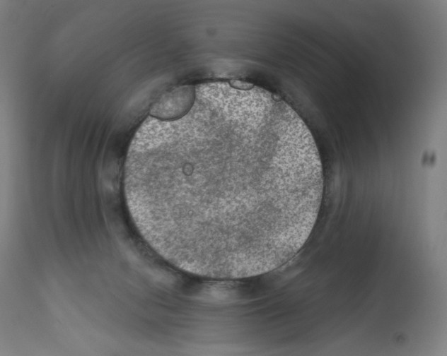 X0000112350078200909241112