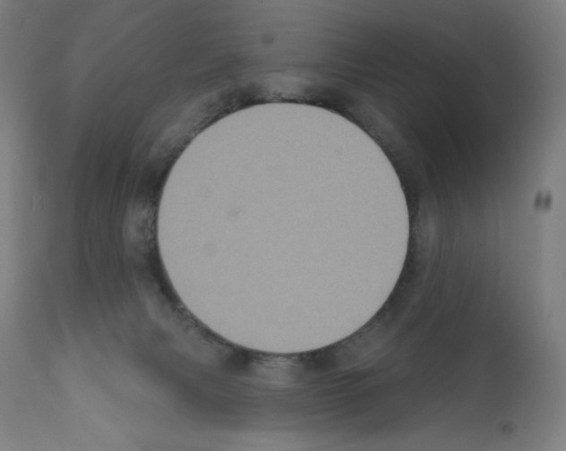 X0000112350079200909241112