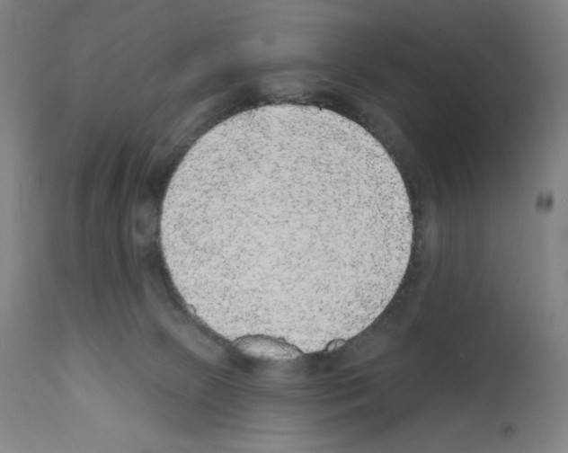 X0000112350081200909241112