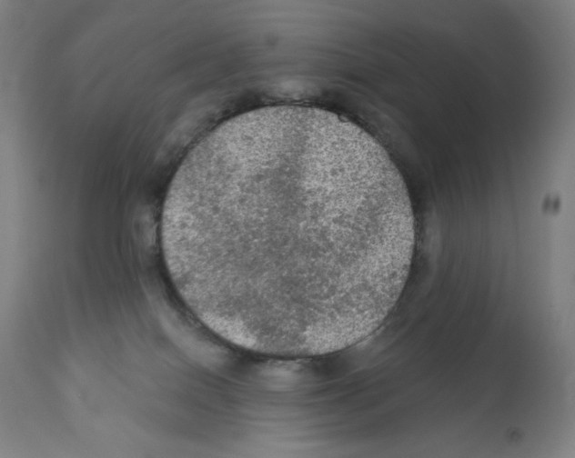 X0000112350086200909241112