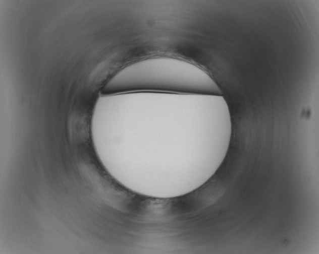 X0000112350088200909241112