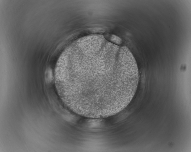 X0000112350089200909241112