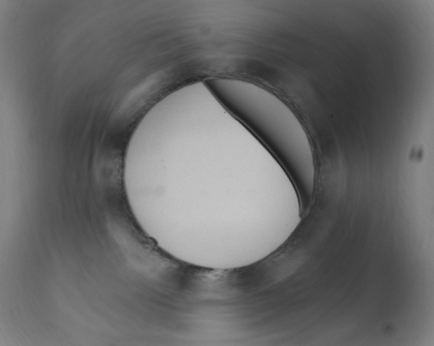 X0000112350092200909241112