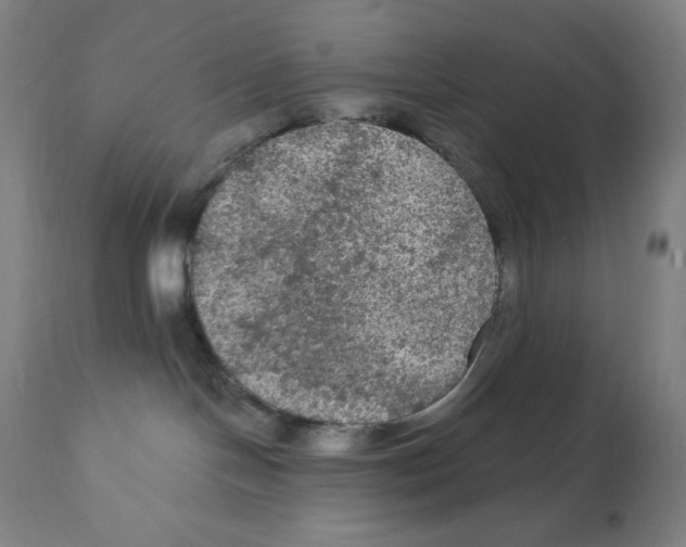 X0000112350094200909241112