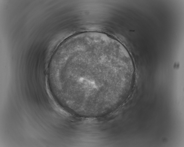 X0000112350097200909241111