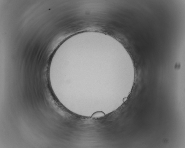 X0000112350098200909241111