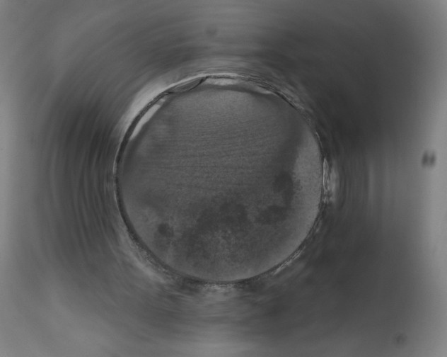 X0000112350099200909241111