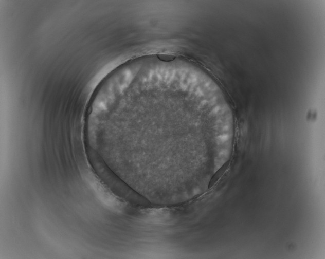 X0000112350100200909241111