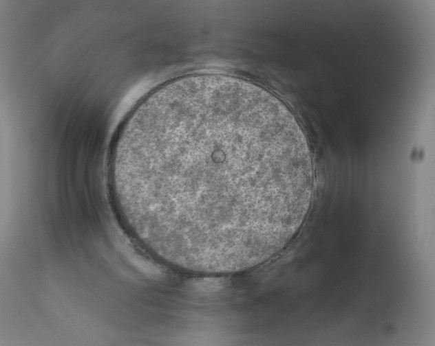 X0000112350102200909241111