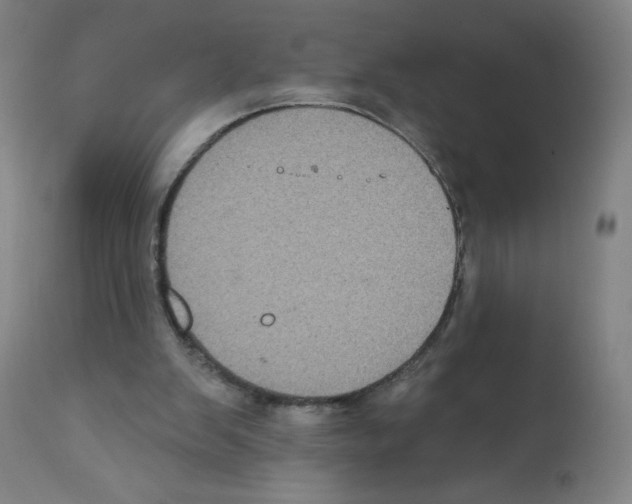 X0000112350103200909241111