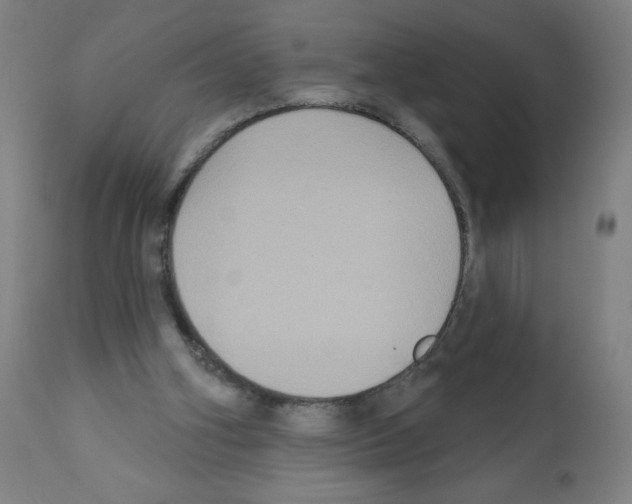 X0000112350106200909241111