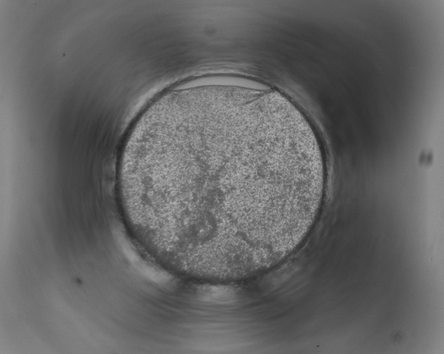 X0000112350107200909241111