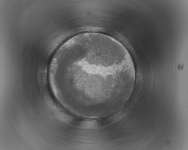 X0000112350110200909241111