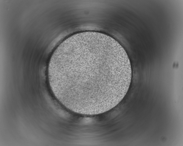 X0000112350111200909241111