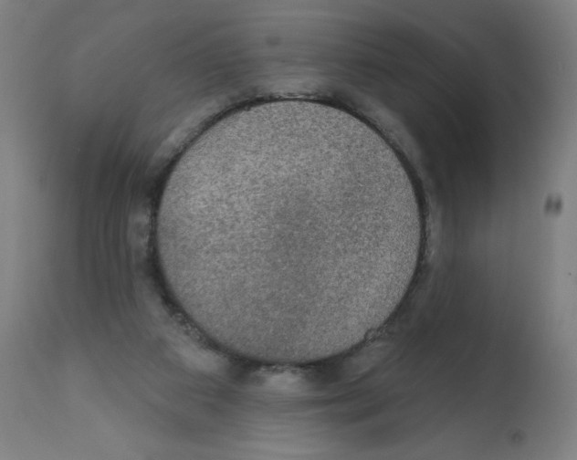 X0000112350113200909241111