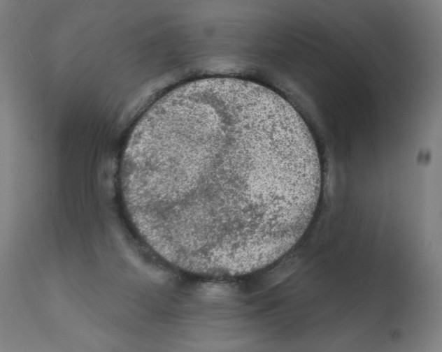 X0000112350115200909241111