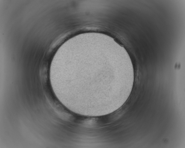 X0000112350116200909241111