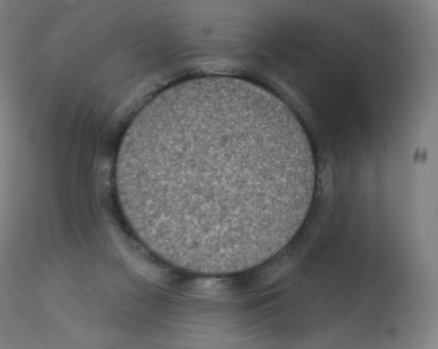 X0000112350117200909241111