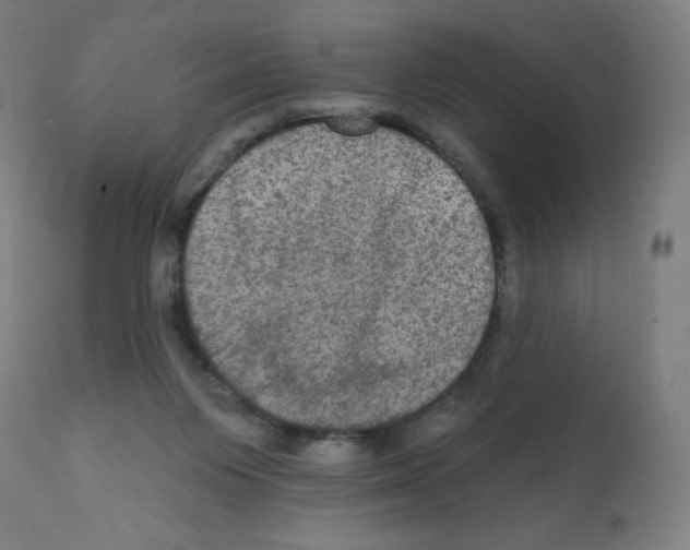 X0000112350119200909241111