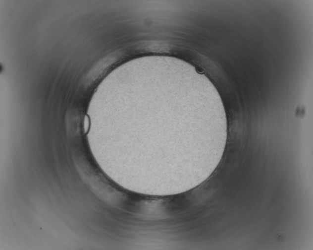 X0000112350120200909241111