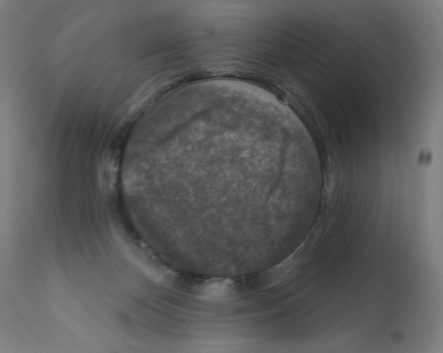 X0000112350124200909241111