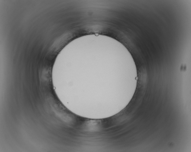 X0000112350126200909241111