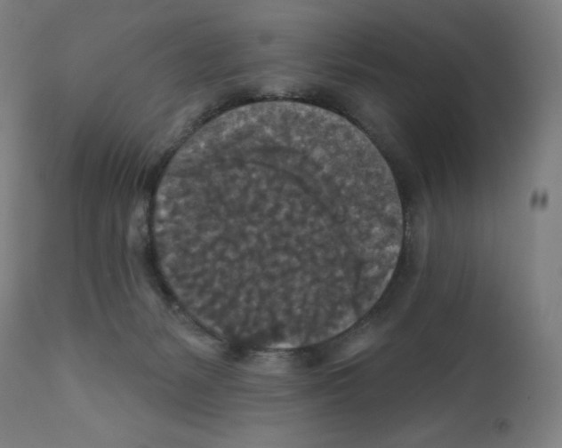 X0000112350127200909241111