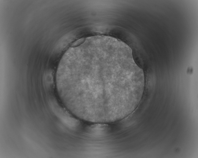 X0000112350128200909241111