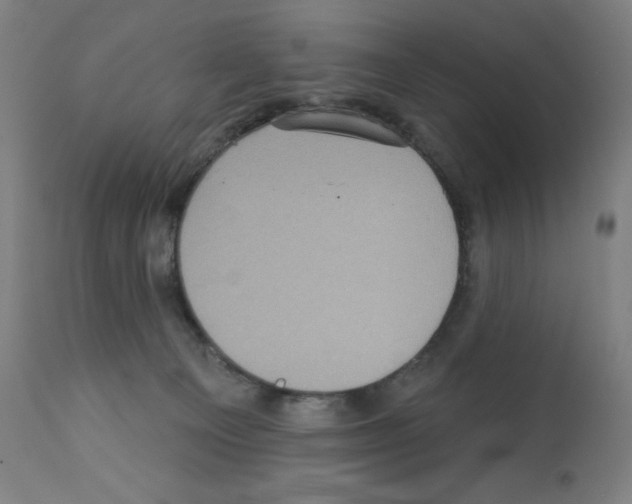 X0000112350129200909241111