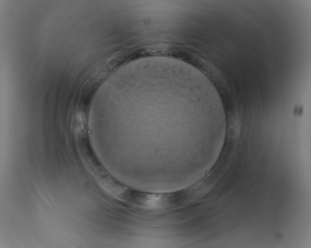 X0000112350130200909241111