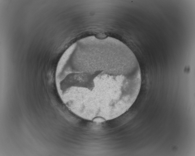 X0000112350131200909241111