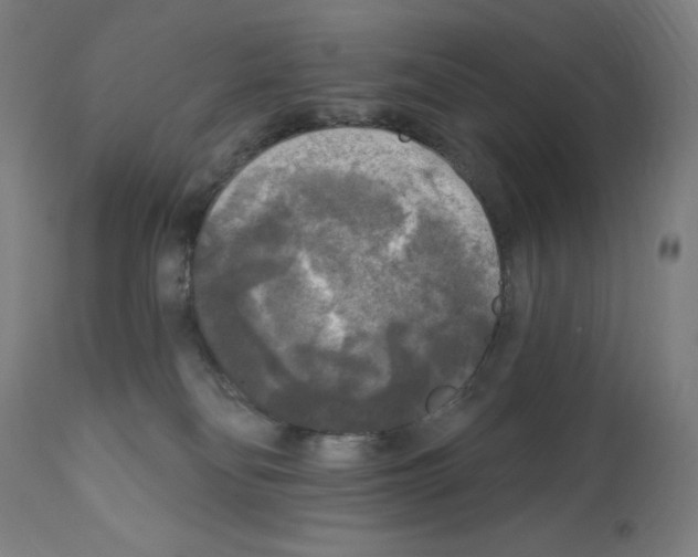 X0000112350134200909241111