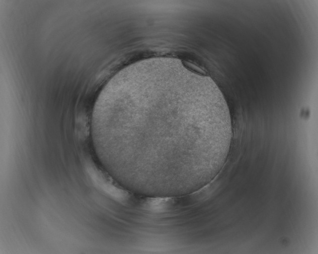 X0000112350136200909241111