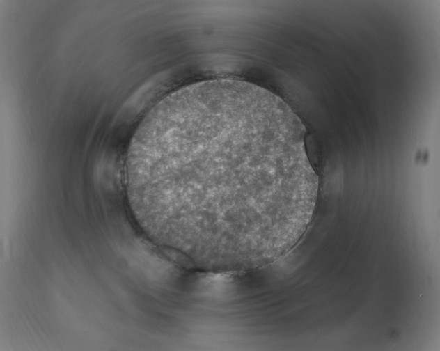 X0000112350140200909241111