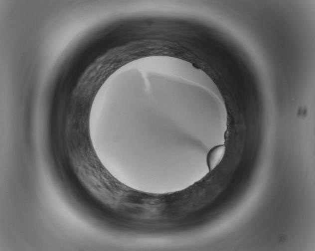 X0000112350143200909241111